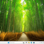 Koniec Windows 10