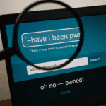Overenie hesla cez HaveIBeenPwned